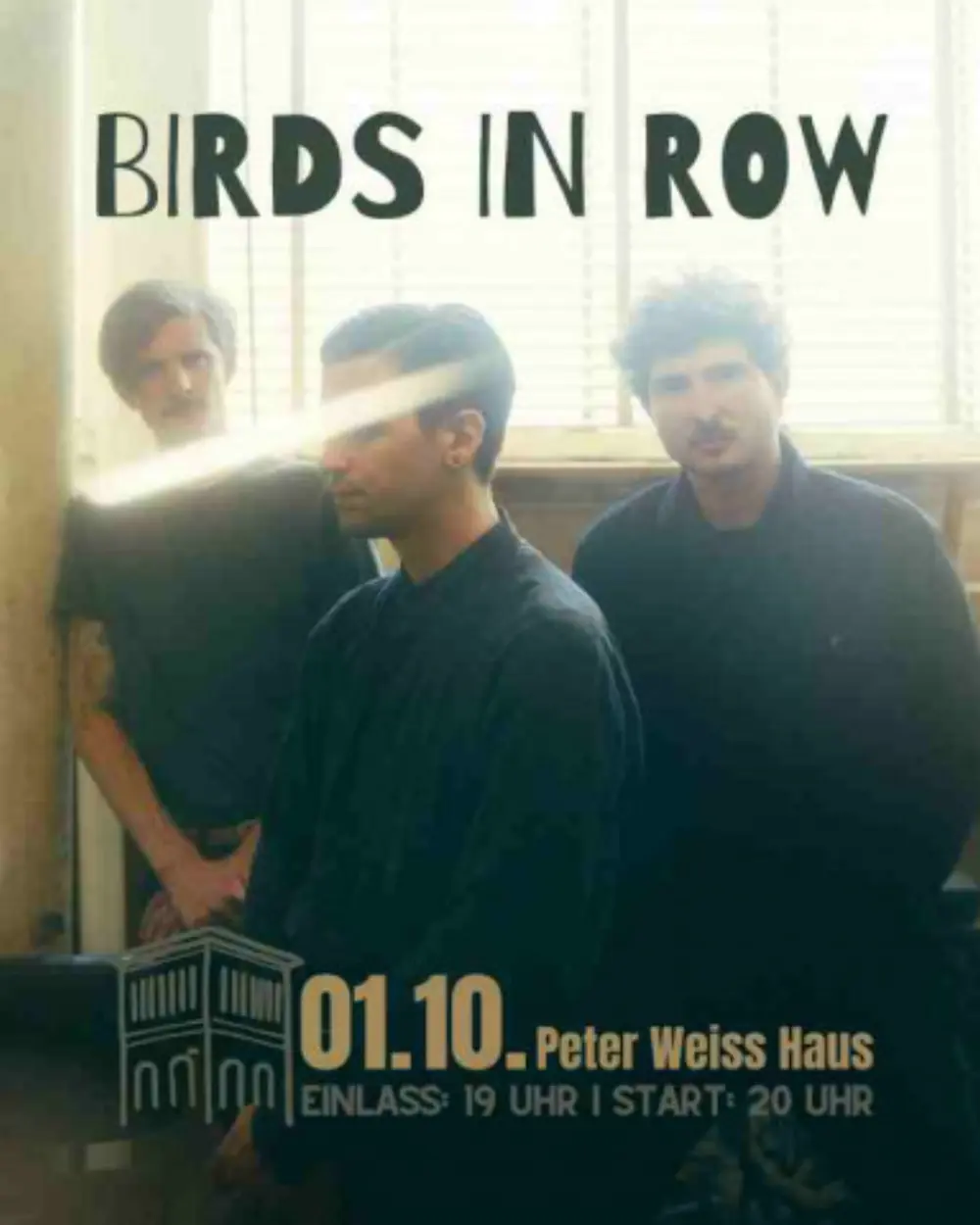 Birds in Row